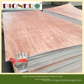 Poplar Core Marine/Commercial Plywood with Bintangor Face